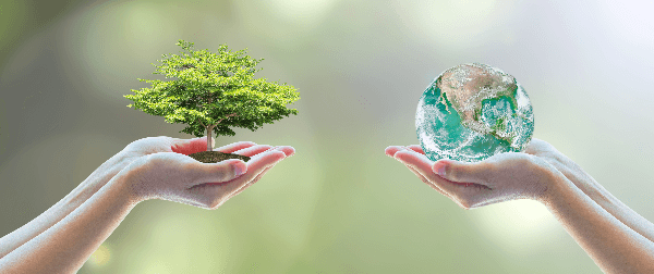 Medio ambiente