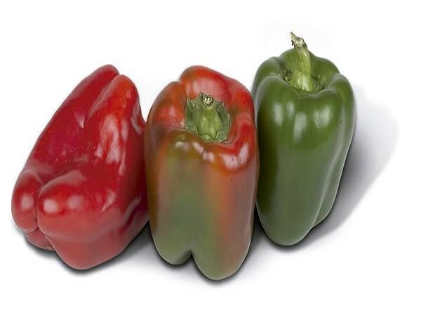 GLOBALGAP - Producción hortofrutícola